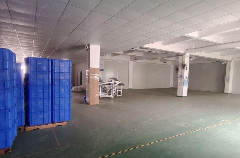 大朗洋乌工业区新出一楼厂房可办环评高度6.8米