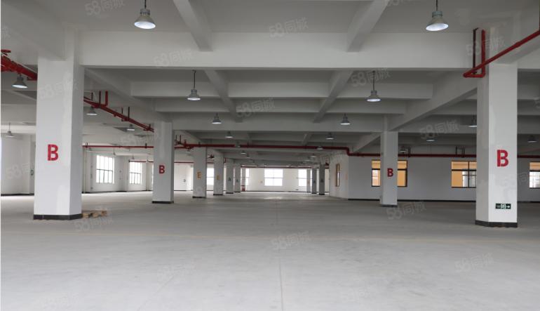 东莞 大朗 原房东 1000平 全新厂房出租