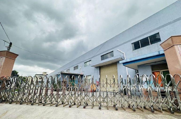 大朗台湾房东独院空地超大钢结构无柱子带隔热层独立办公室