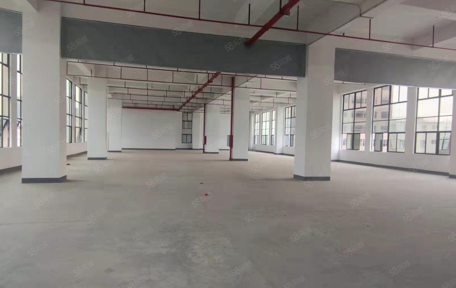 大朗洋乌新建厂房楼上2750平出租，工业用地可办环评