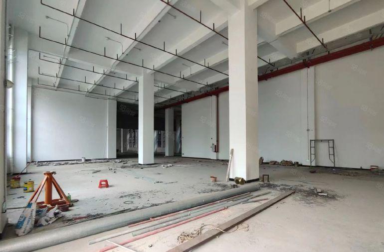 大朗靠深圳 全新一楼分租600平方厂房出租 层高8米工业用地