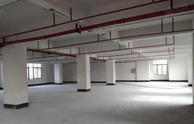 本人新建 大朗新马莲2500平方独院厂房 有意向随时可看厂