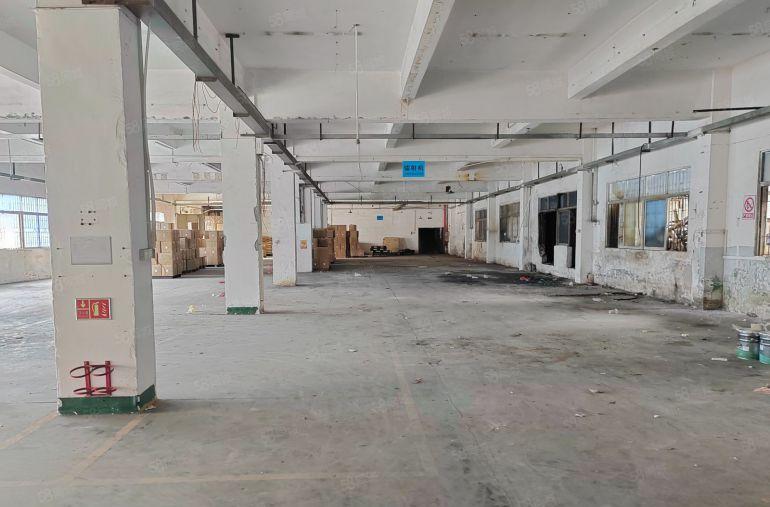 大朗镇新马莲标准一楼厂房1500，交通方便，园区空地大