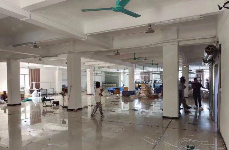 大朗美景路边特价6.9元标准厂房