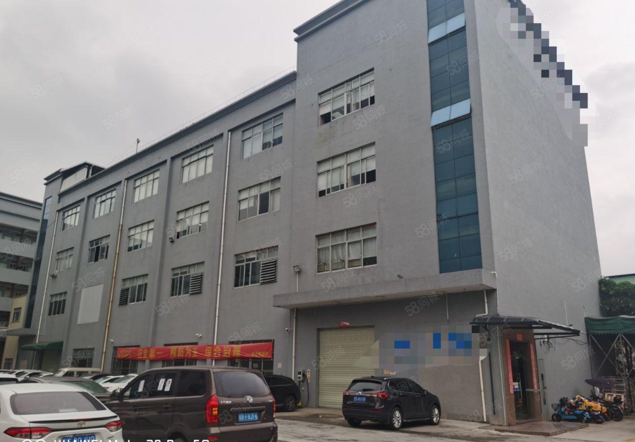 大朗镇原房东一手经典独院厂房，现成装修水电齐全，可以办环评