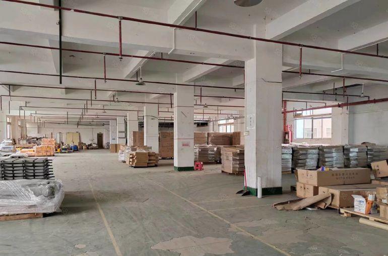 大朗镇莞樟路1楼1000平厂房出租，水电齐全