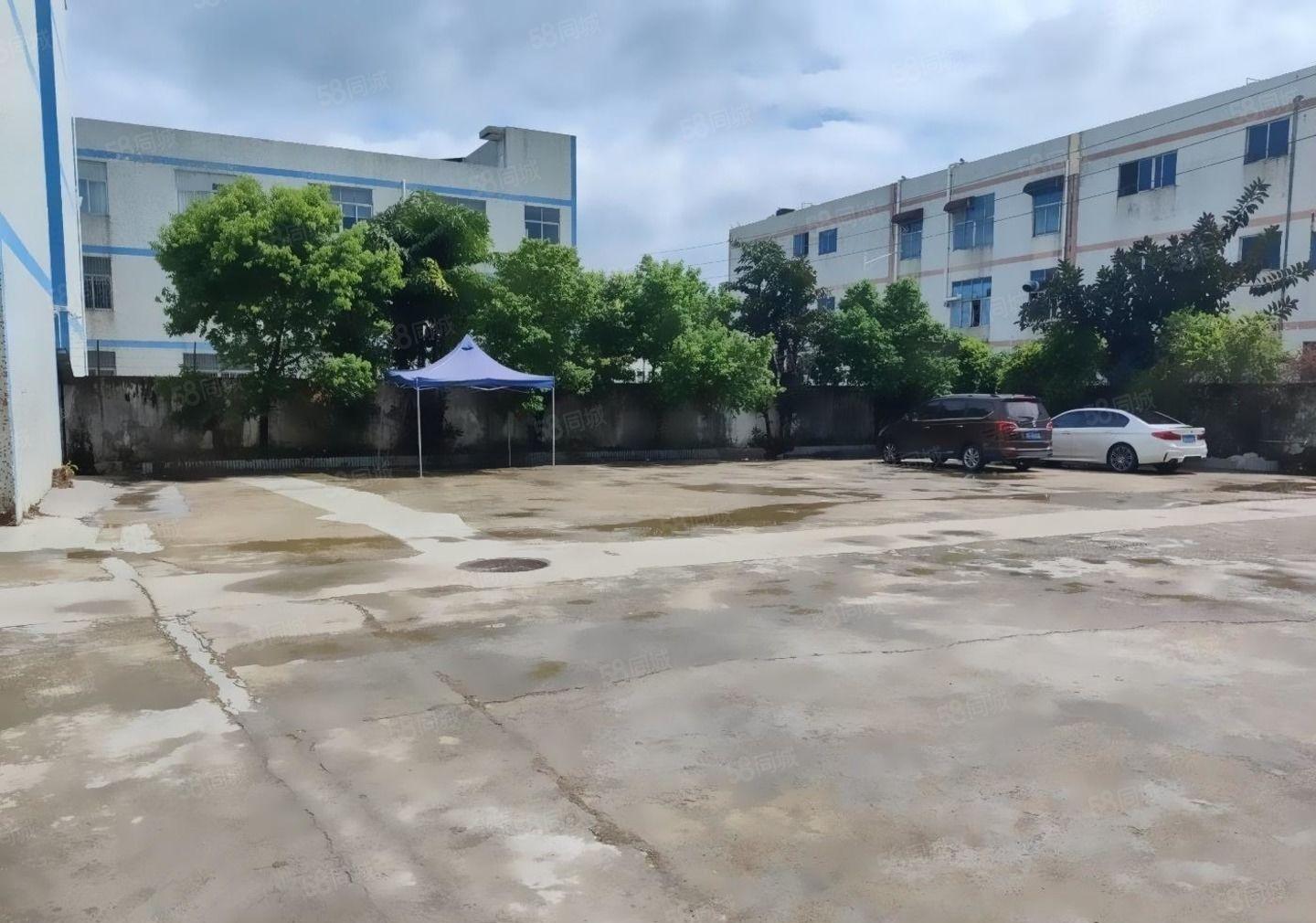 大朗工业独院厂房出租整栋4800方，可办环评，宿舍可按需出租