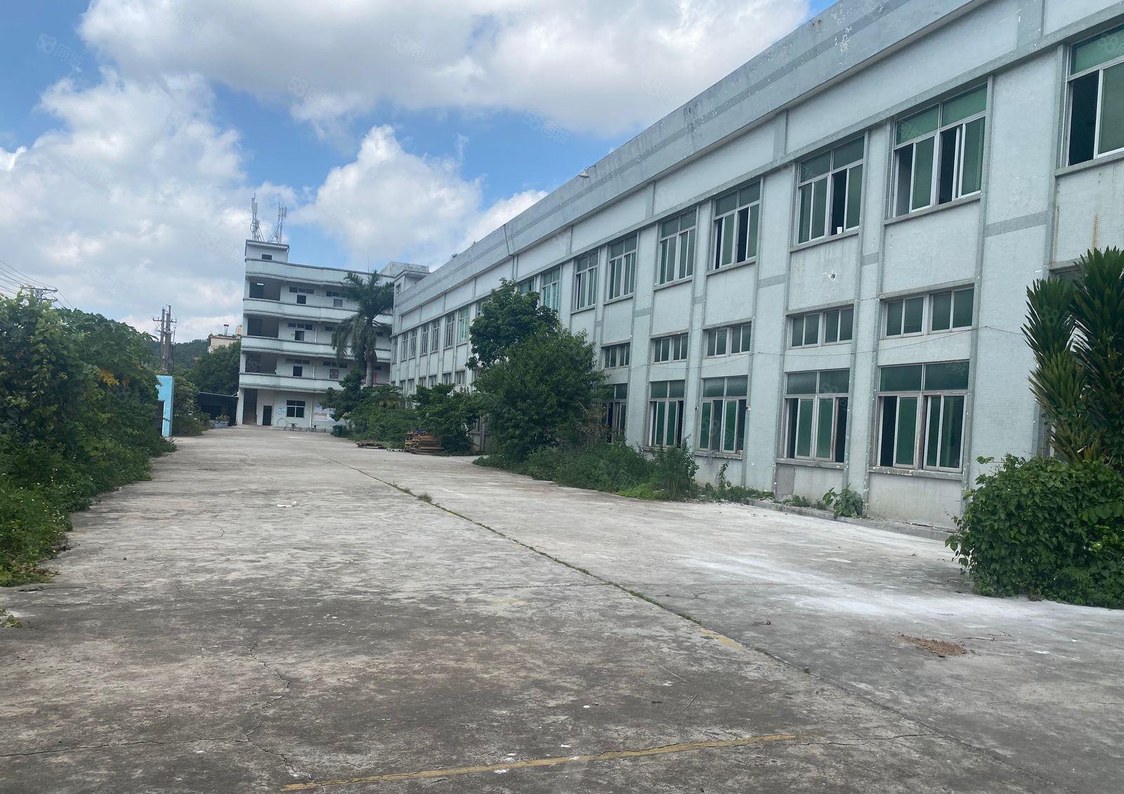 大朗镇原房东二层独立厂房5000平，带精装修办公室。