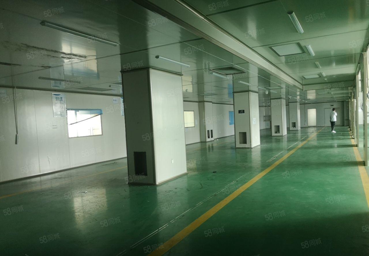 大朗象山工业区新出二楼精装厂房1700平出租，办公及水电齐全