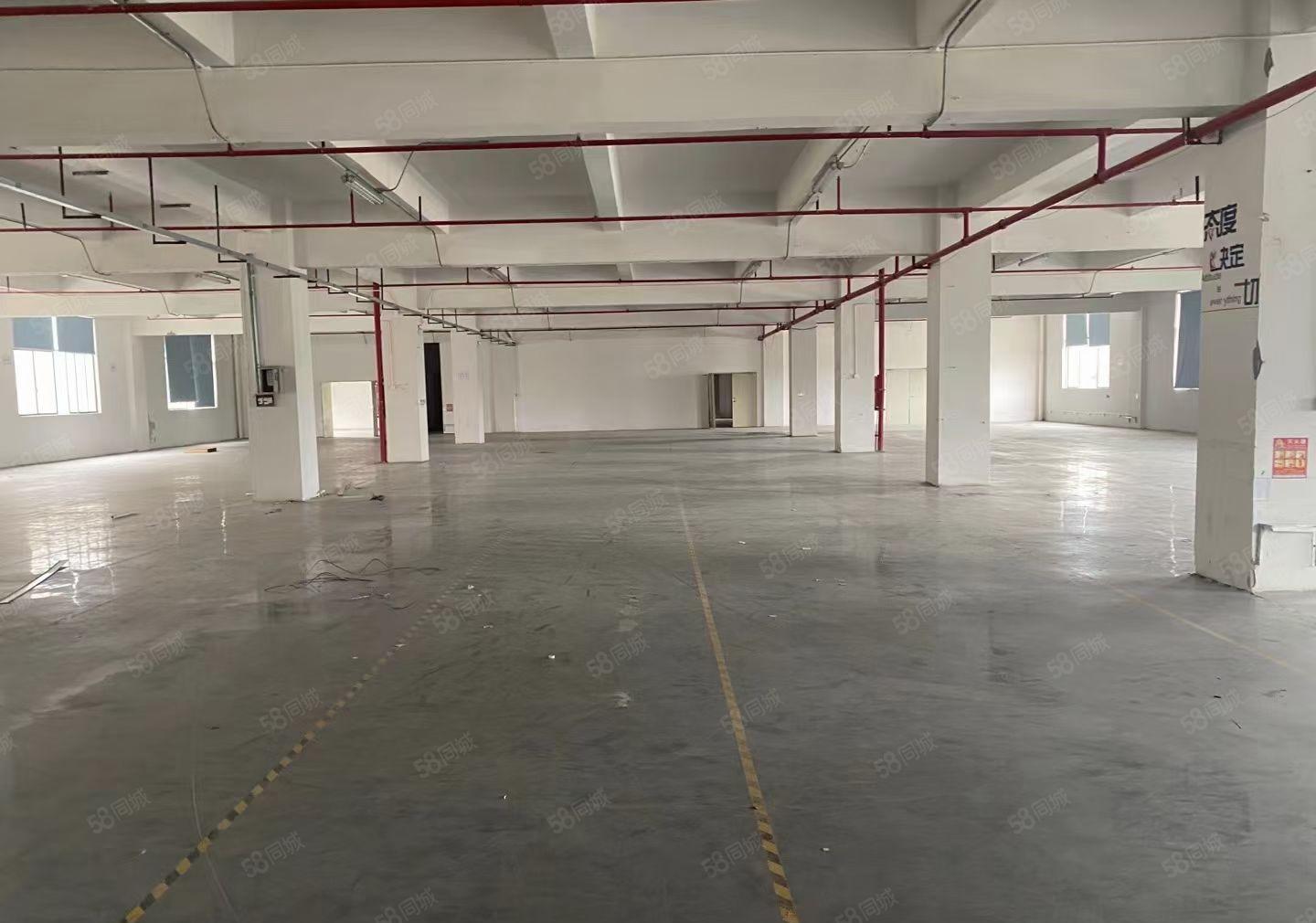 全新厂房，配电1000KVA，3吨电梯喷淋消防，交通便利。