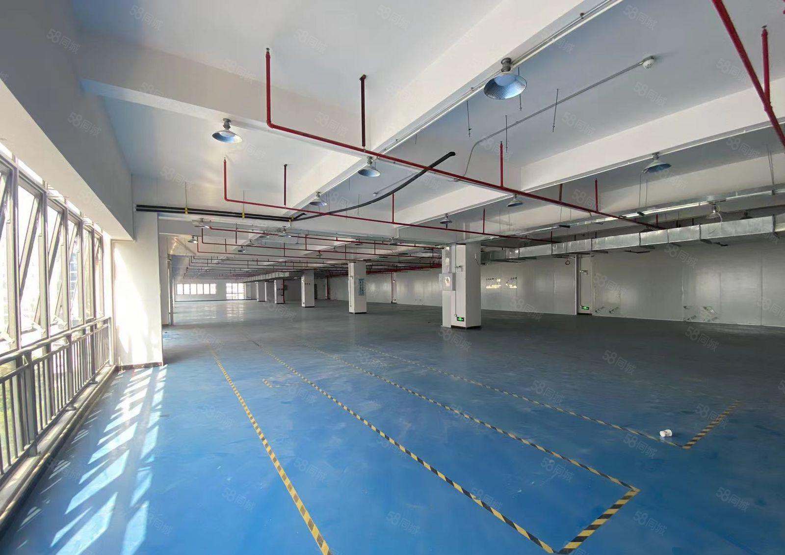 大朗高速路口旁新出五楼1000平厂房出租 水电齐全价格便宜