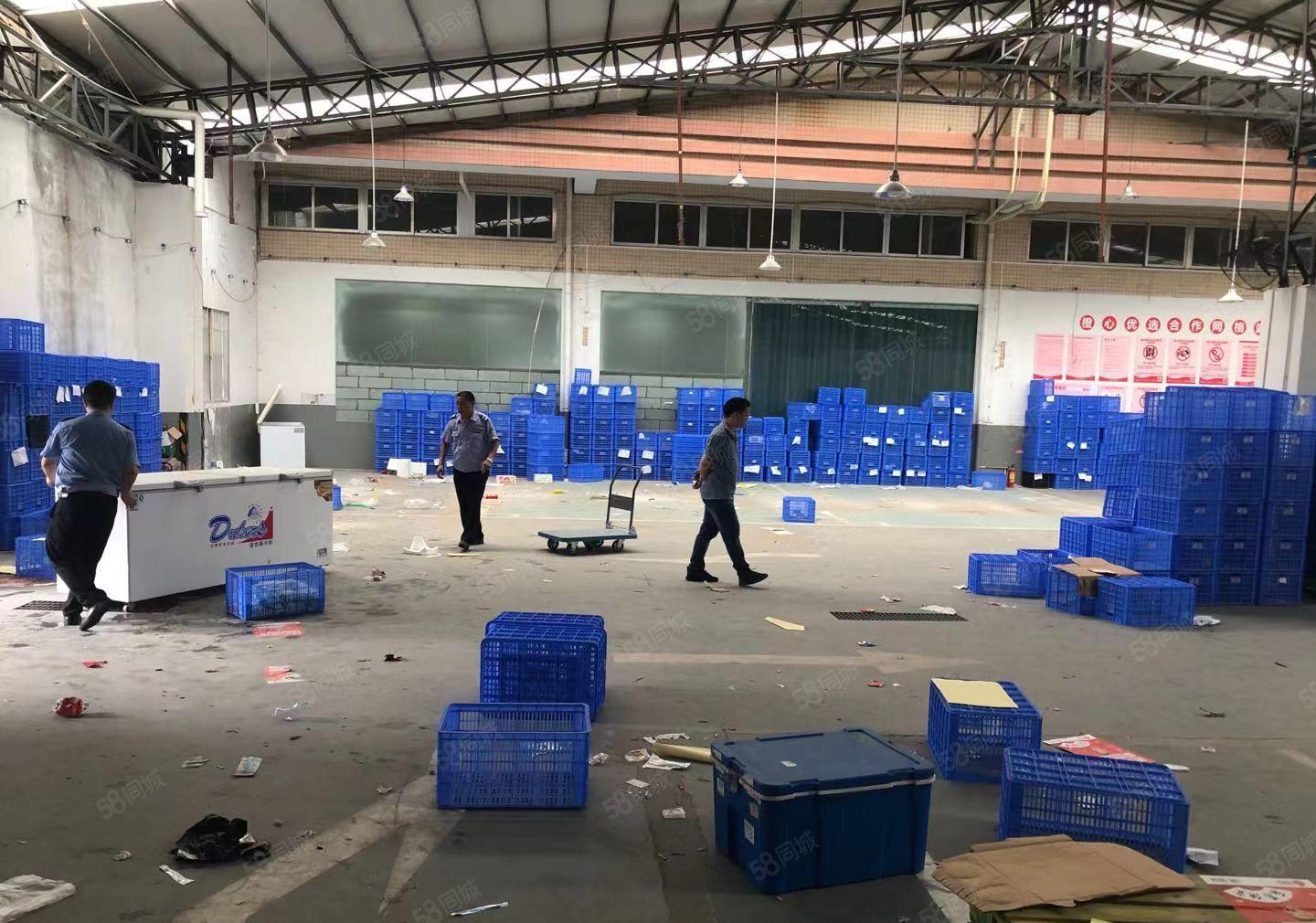 亏本甩租 大朗蔡边820平方独院铁皮房 只租10元