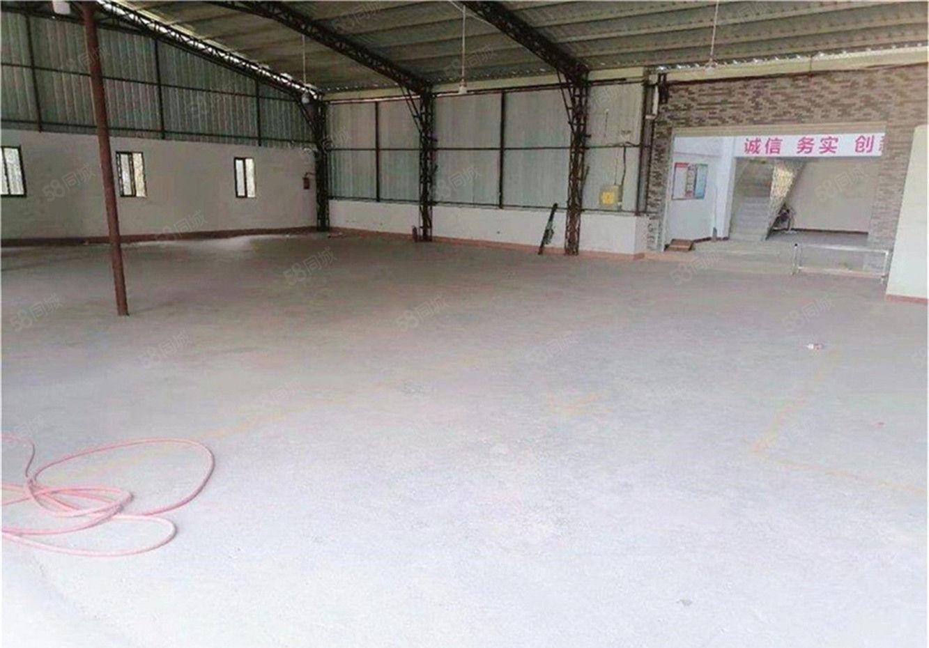 大朗原房东仓库钢构厂房出租单一层950平方，送小阁楼办公室