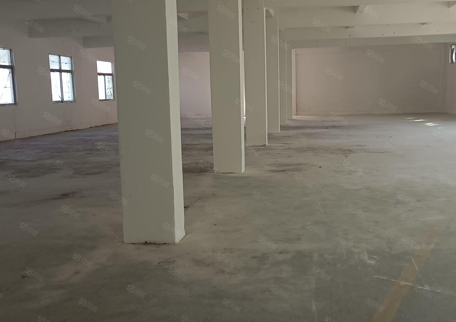 大朗镇原房门独院标准厂房，厂房位置好，交通方便，易招工