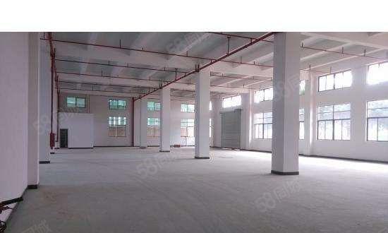 惊喜价11元 大朗一手房东独院两层2700平方标准厂房急租了