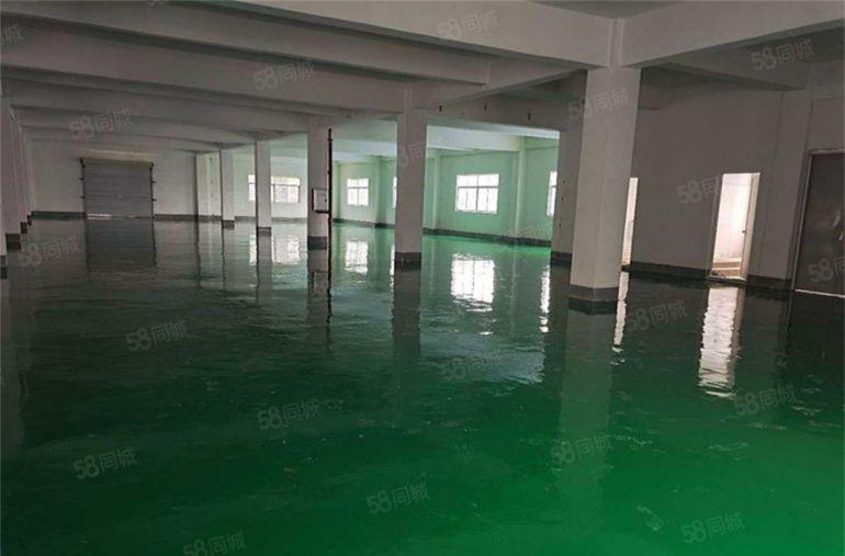 特价8元 大朗高英楼上2000平方厂房带装修可按需分租