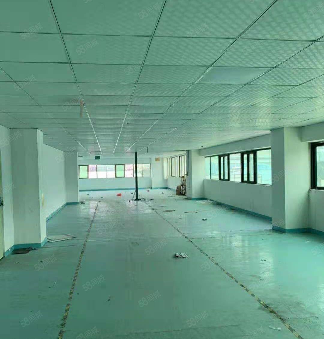 抢租低价12元！大朗工业园800平厂房带装修 3吨货梯