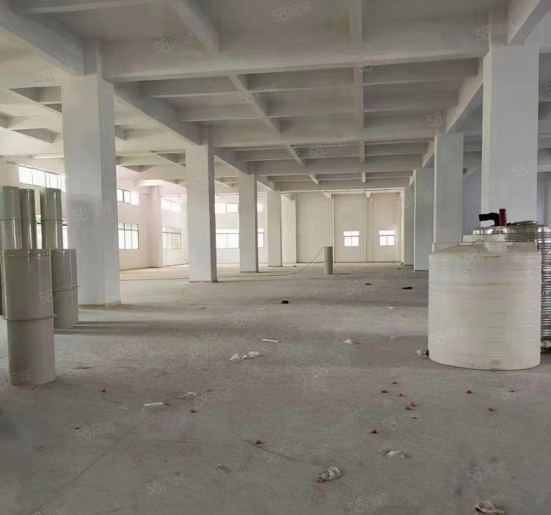 大朗镇独栋厂房6800平现成水电装修拧包入住