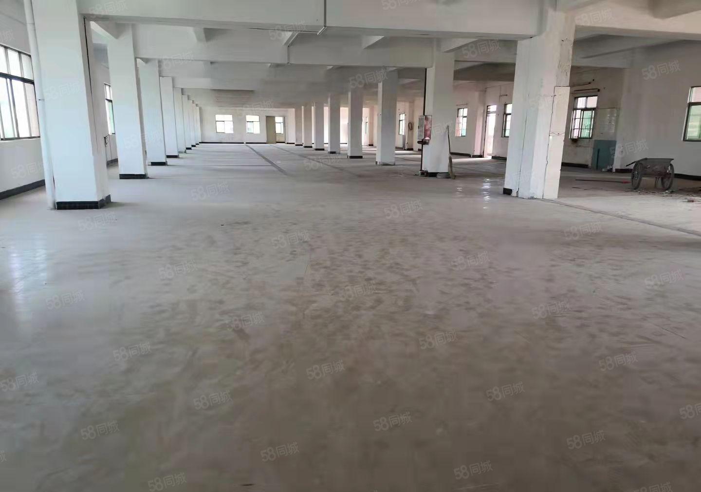 大朗自有厂房200平至1000平招租水电齐全