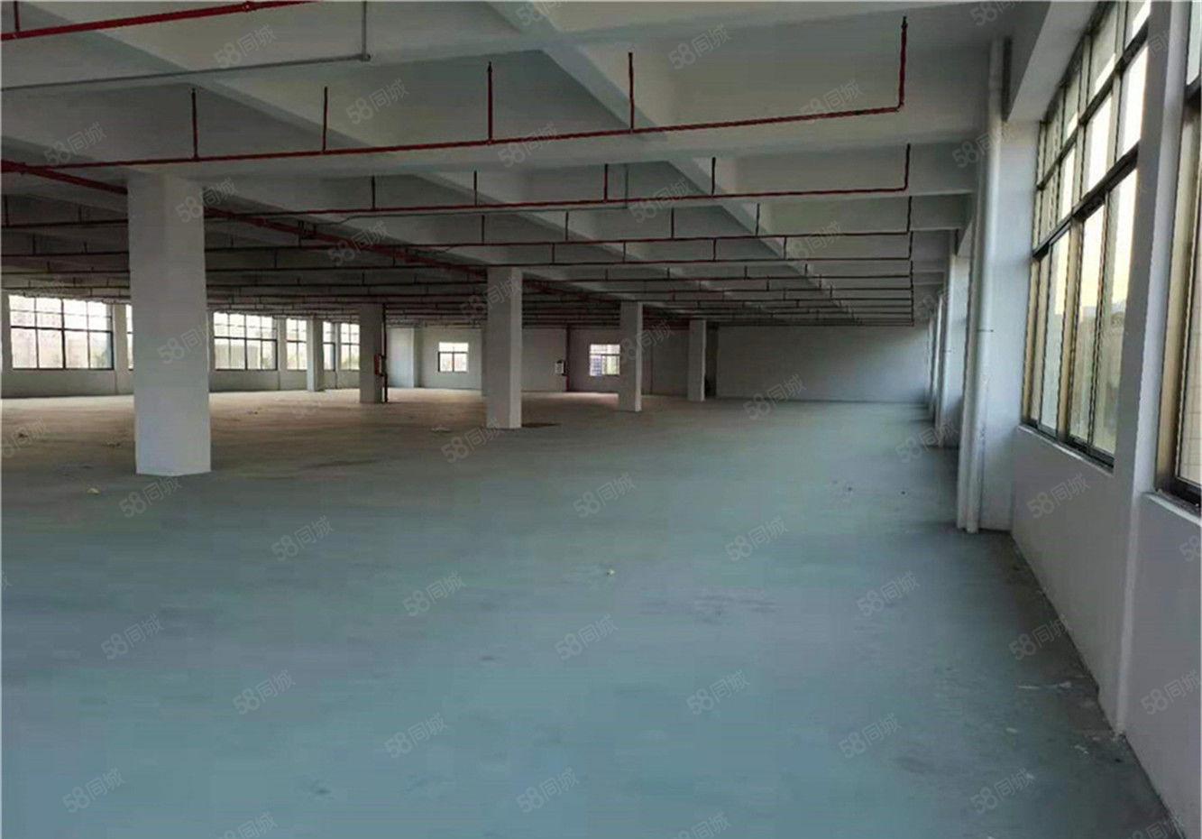 新出特价大朗工业园区厂房出租一层1300方，配大货梯可办环评