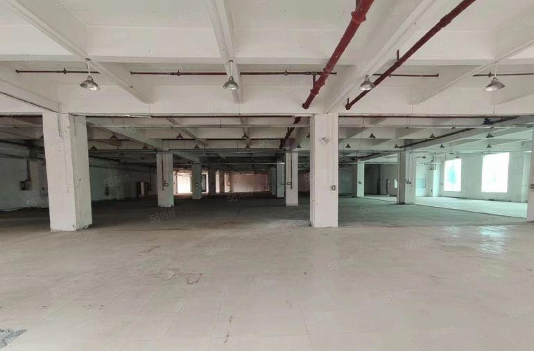 大朗原房东花园式厂房一楼7000平出租，精装修办公室，可分租