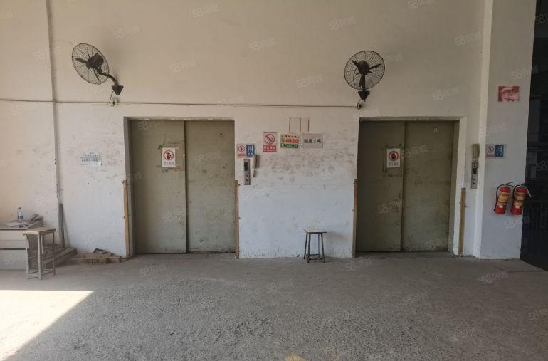 大朗独院23000平 松山湖原房东红本 四层标准实际面积出租