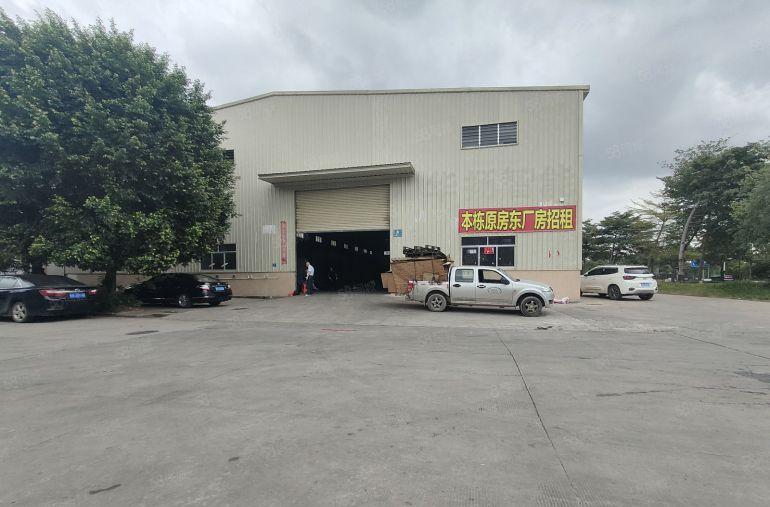 大朗镇原房东单一层2800方，滴水10米，交通便利，易招工