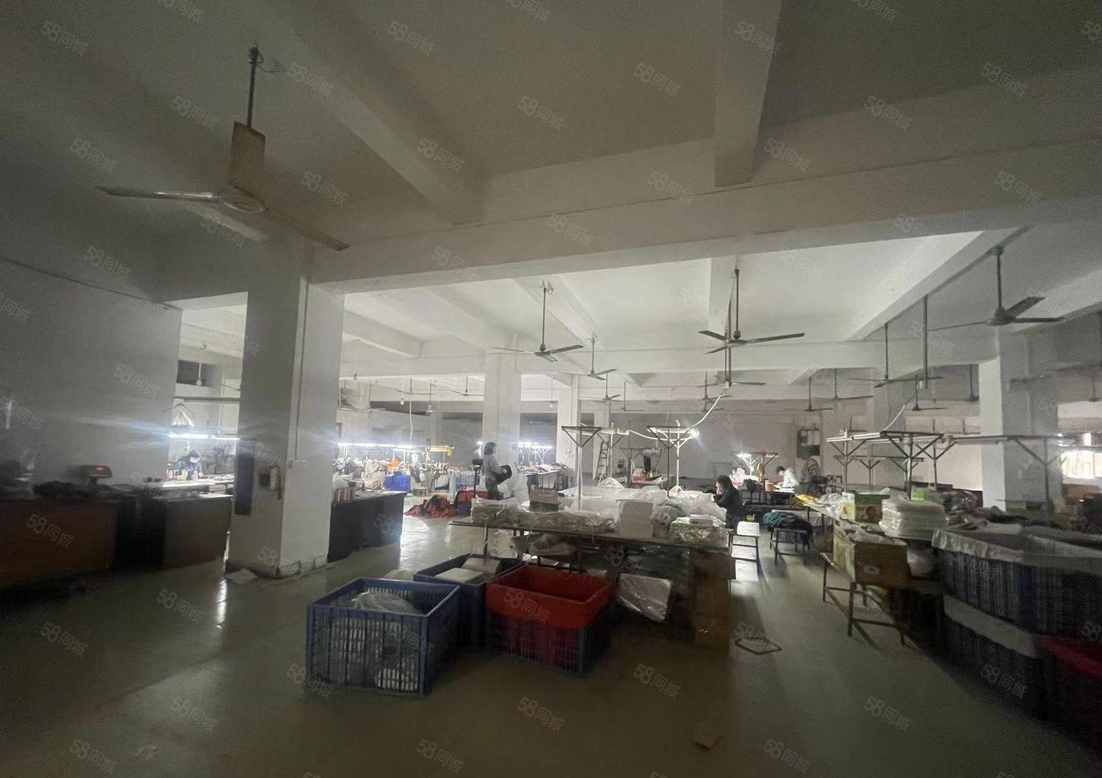 大朗新出独院二楼1800平高5米厂房出租可办环评现成办公室