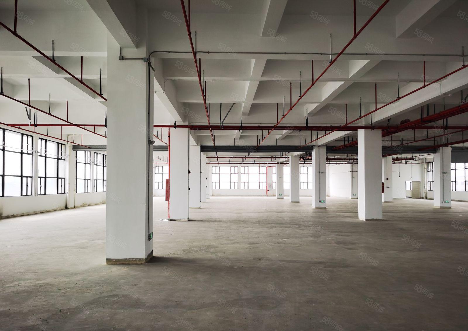 大朗镇新出原房东标准厂房可分租易招工