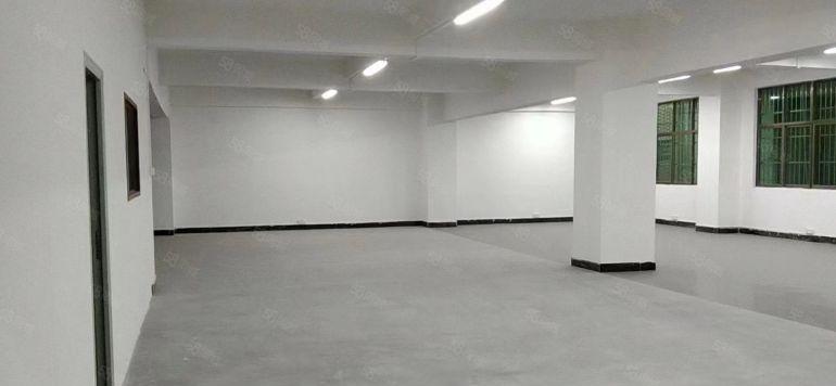 大朗美景路边特价6.9元标准厂房