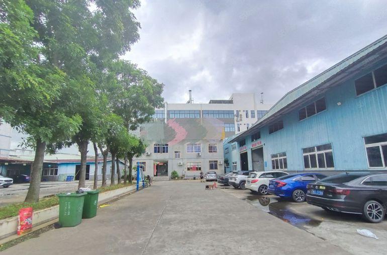 大朗原房东出租单一层俩部航车主线到车间租金便宜证件齐全