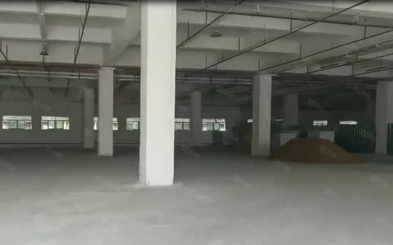 大朗S357旁一楼高7米850平方标准厂房出租 水电齐全