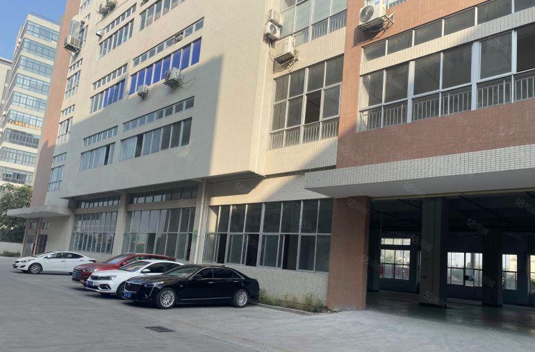 6米高！大朗一楼1600平标准带精装修厂房出租，水电齐全