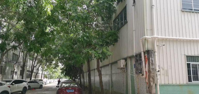 大朗镇一楼钢构厂房出租2800平方米原房东，带办公室装修