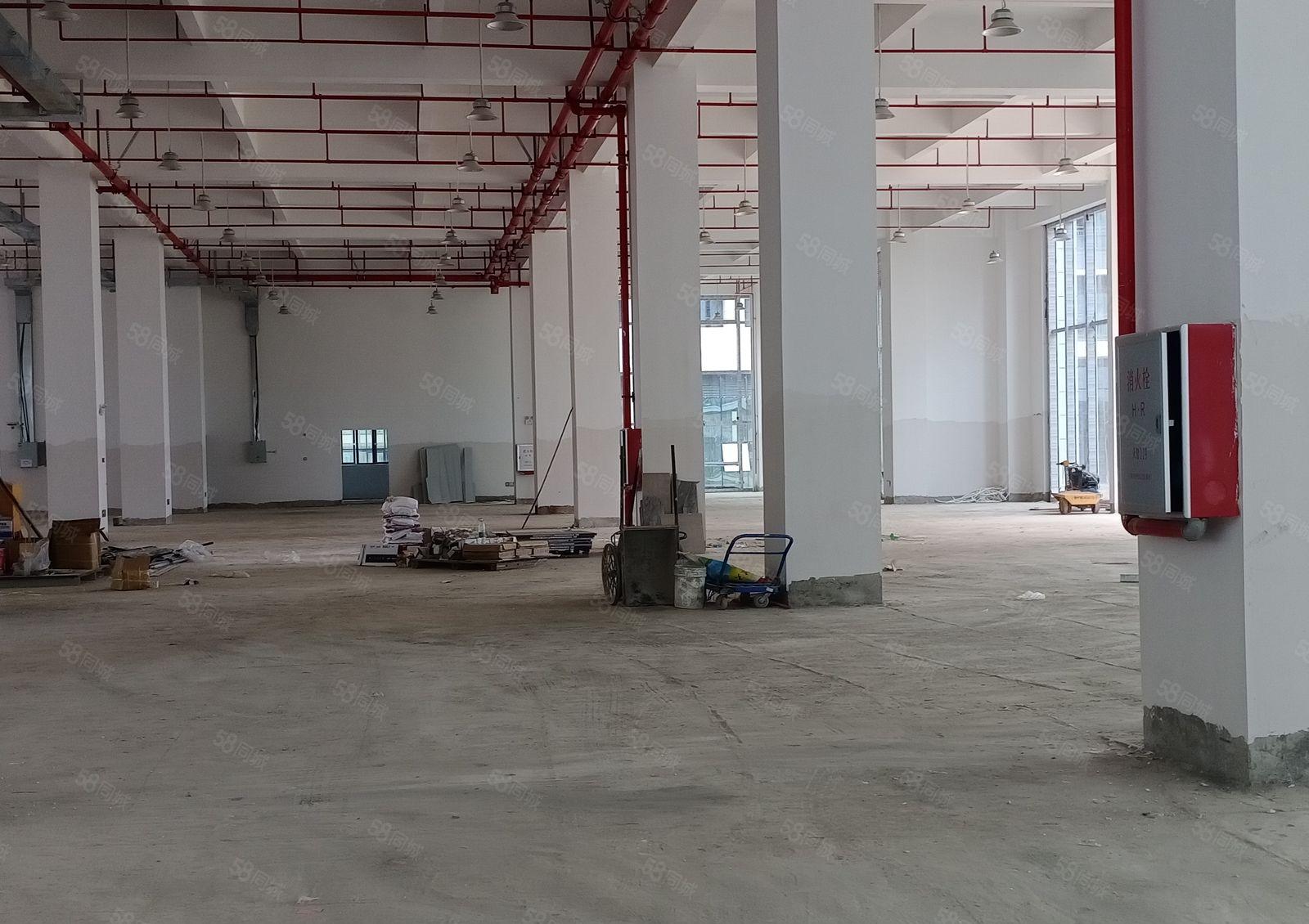 大朗正规工业区全新厂房8万平方 700起分租 上市公司