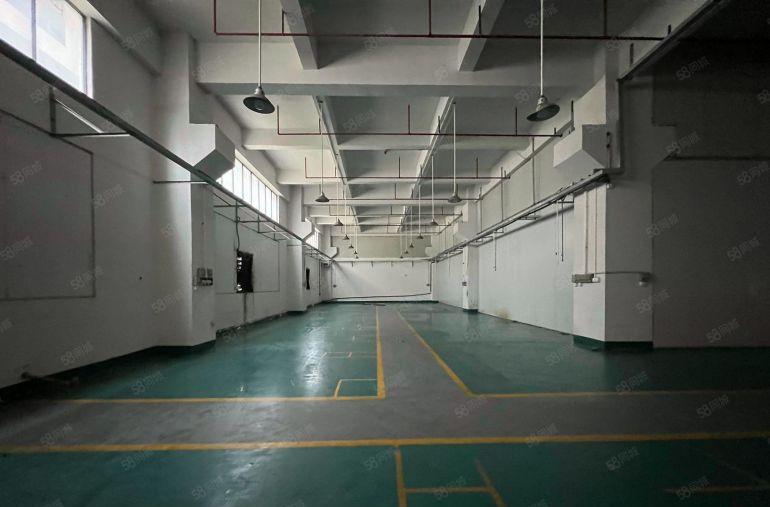 大朗象山工业城重工业厂房1楼6.5米带牛角800平厂房出租