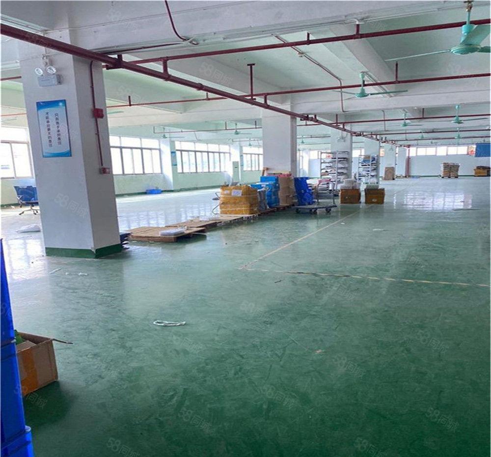 大朗2楼原房东厂房出租1800方，现成装修带地坪漆，消防合格
