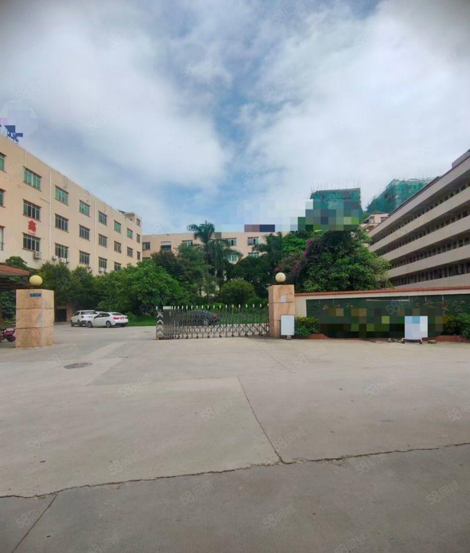 大朗镇新出独院厂房分租一楼2300平方，楼高六米，豪华装修