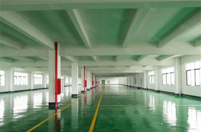 大朗临近深圳 楼上800平方电子厂房出租 9元带装修