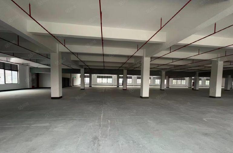 10元大朗原房东无尘精装修独院厂房出租一楼到三楼各1000平