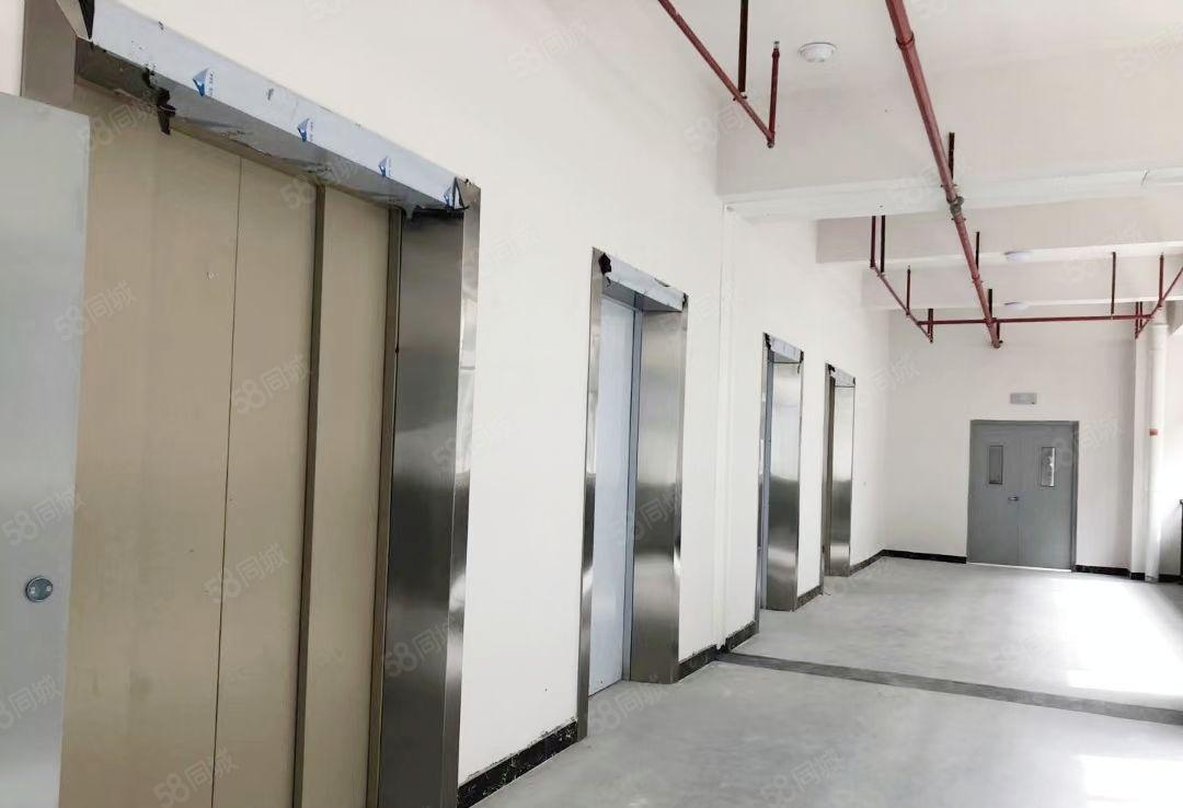 全新厂房，配电1000KVA，3吨电梯喷淋消防，交通便利。