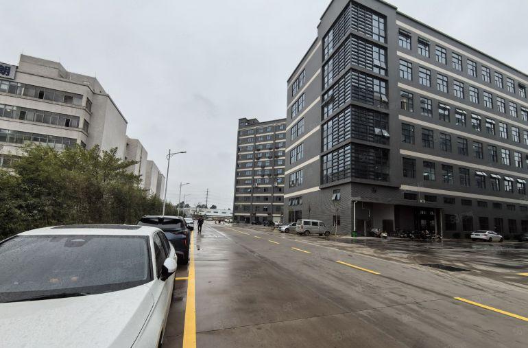 大朗一手房东全新红本独门独院厂房仓库出租适合新能源新材料产业