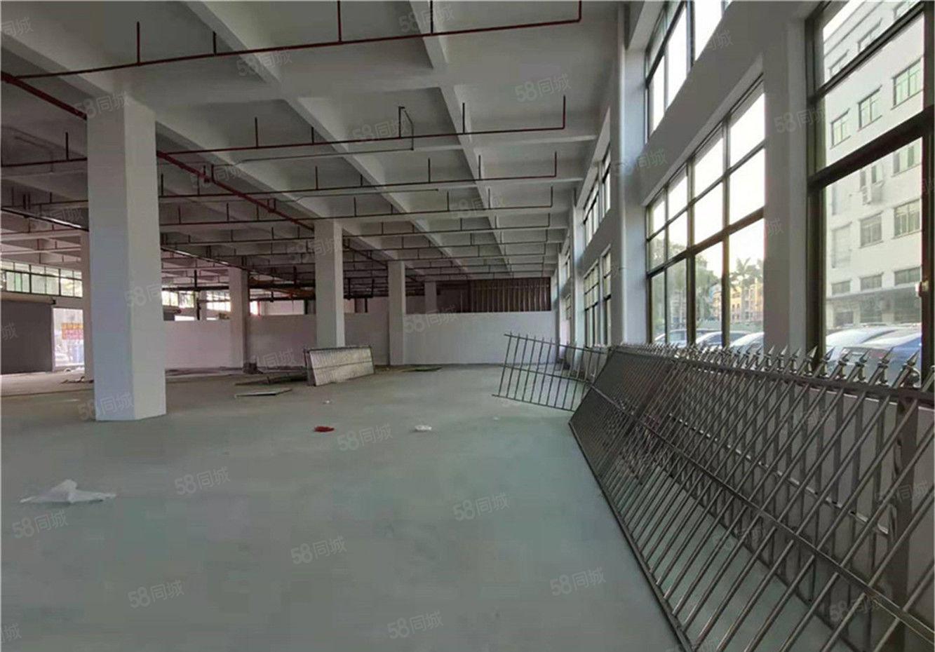 新出特价大朗工业园区厂房出租一层1300方，配大货梯可办环评