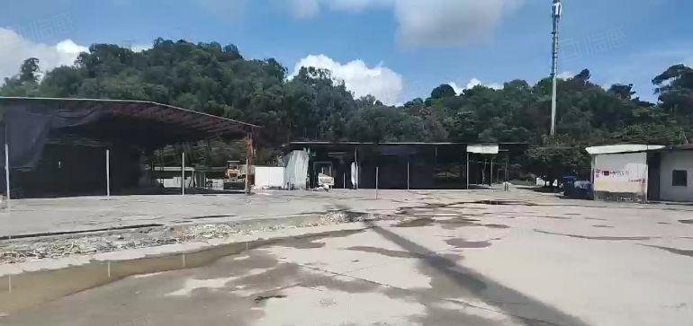 大朗镇原房东独门独院铁皮空地，主干道边上周边无居民，急租5元