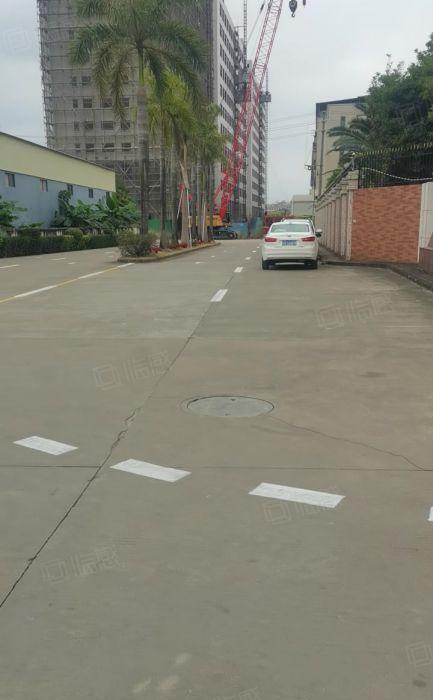 高速路口大朗镇水口原房东标准厂房单层10000平实际面积出租