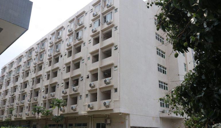 东莞 大朗 原房东 500平 全新厂房出租