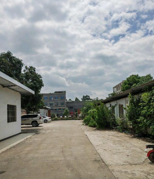 单一层钢结构厂房4000平出租