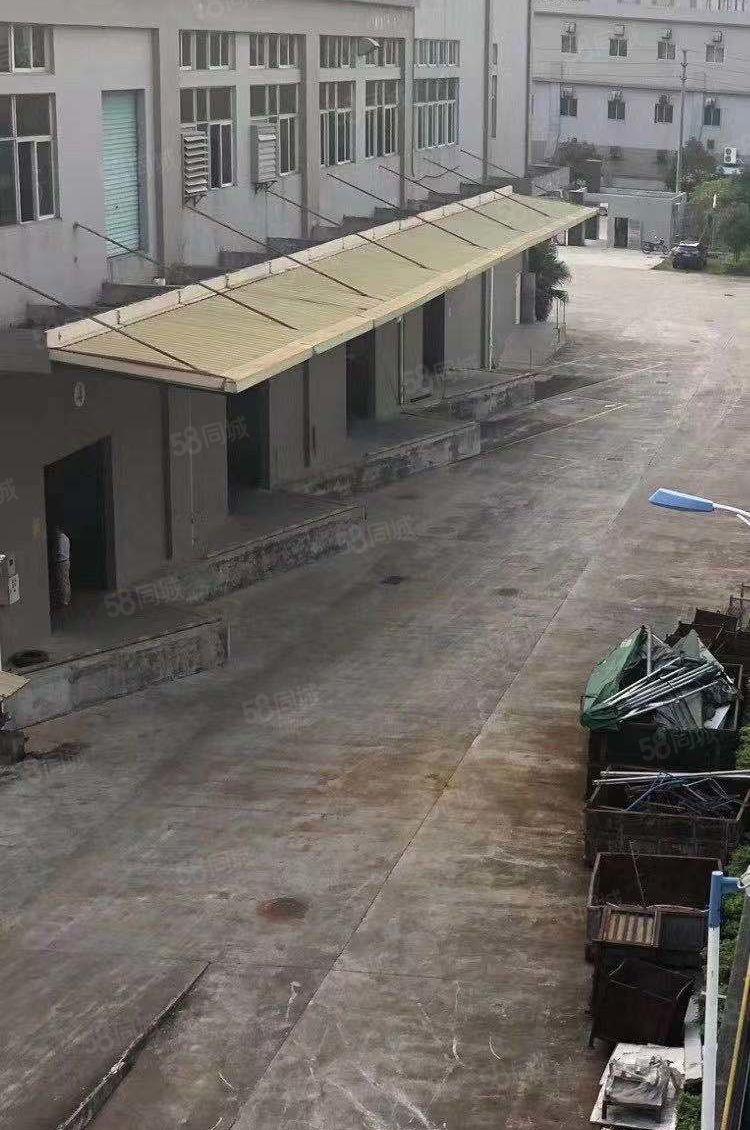 大朗厂房新出标准厂房13000平方空地大厂房出租可分租