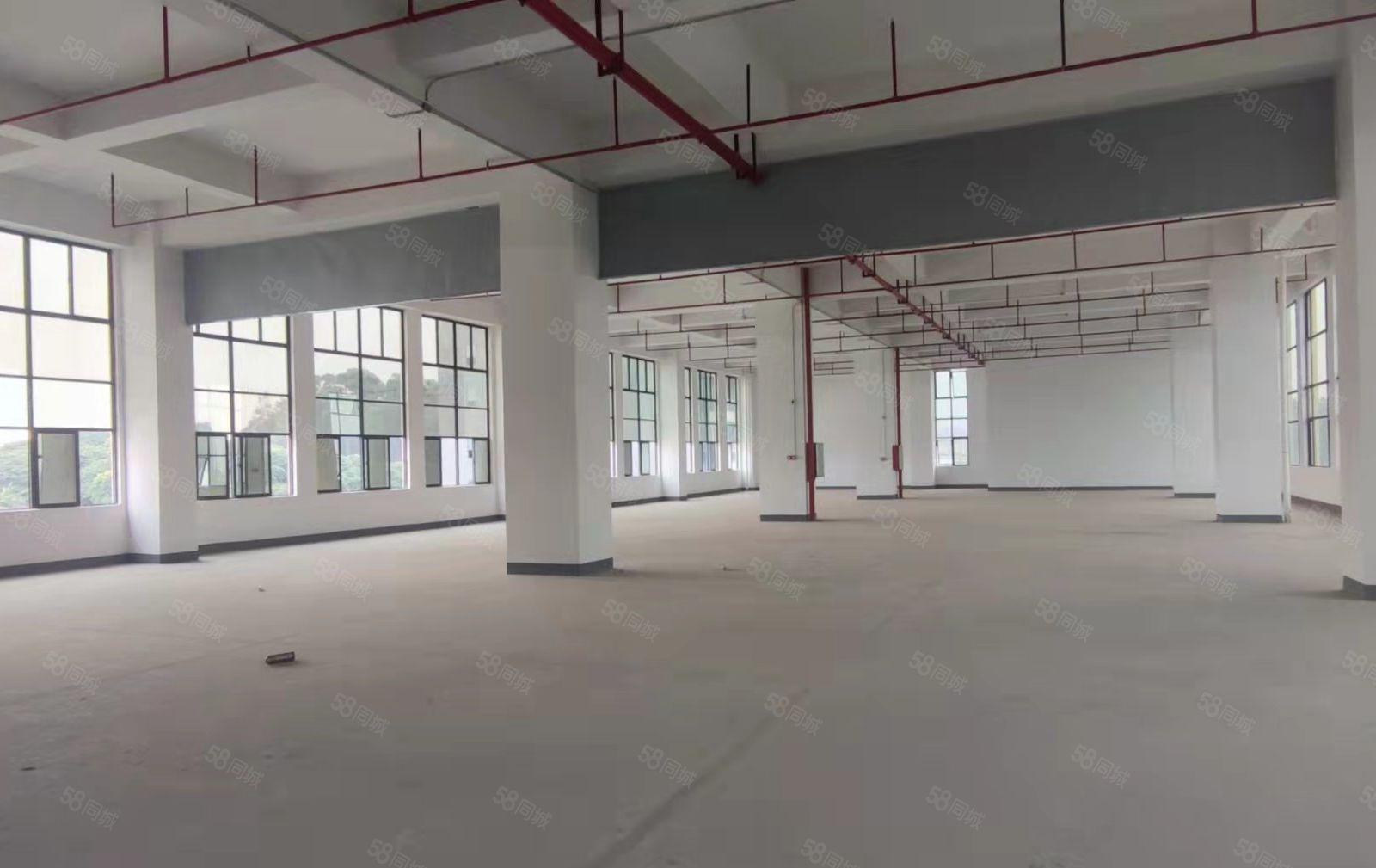 大朗洋乌新建厂房楼上2750平出租，工业用地可办环评