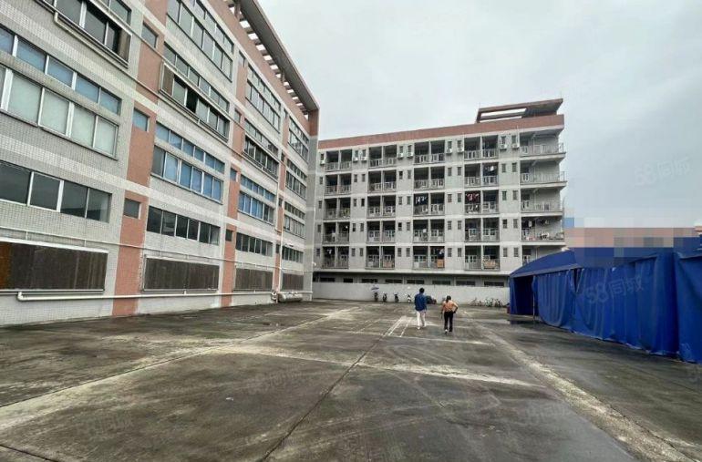 大朗独院23000平 松山湖原房东红本 四层标准实际面积出租